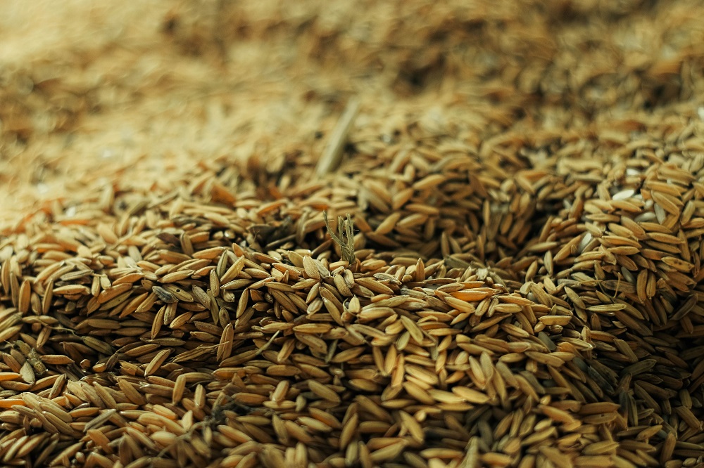 روغن سبوس برنج