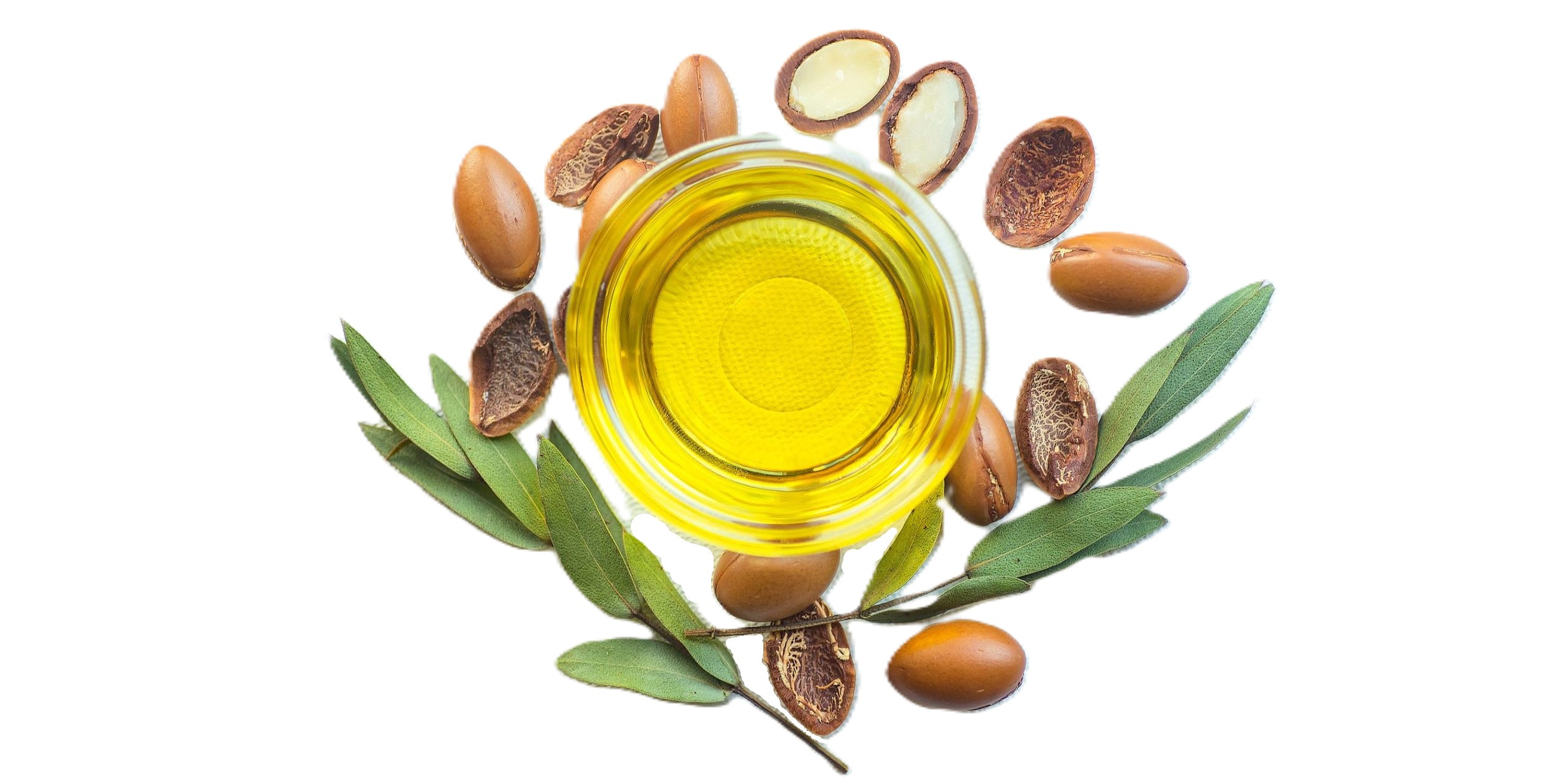 بهترین روغن ها برای درمان ریزش مو
